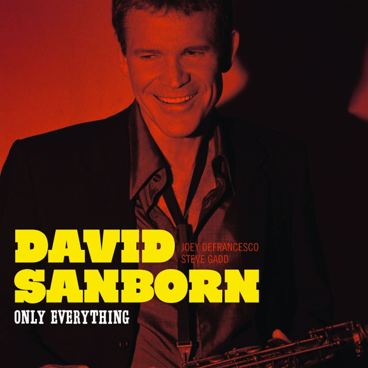Only Everything: Sanborn,David