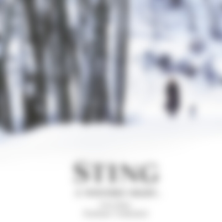 Sting  - A Winter's Night