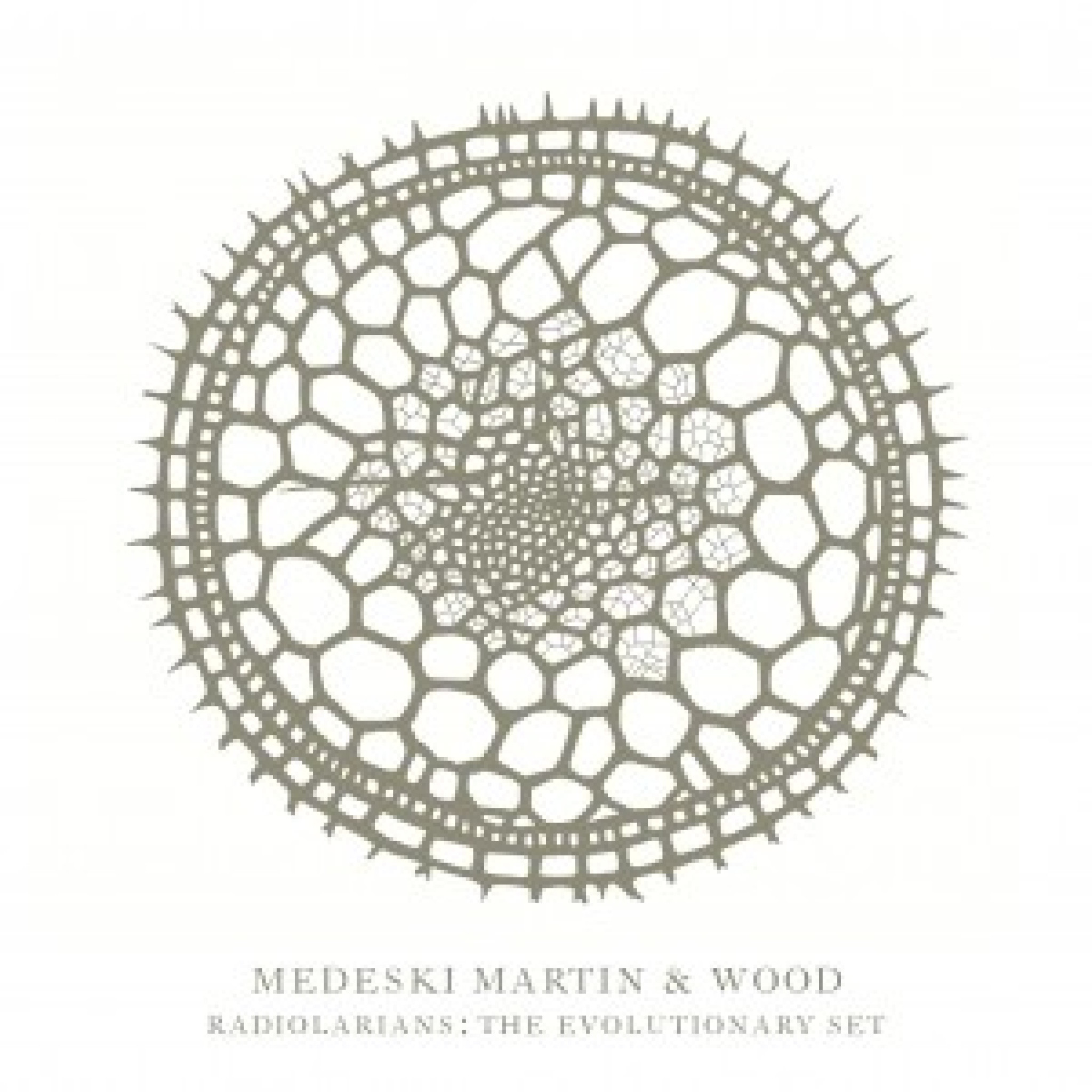 Medesky, Martin & Wood: Radiolarians - The Evolutionary Set
