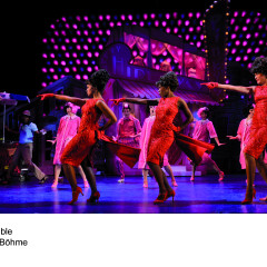 Hairspray_Bild2_2010