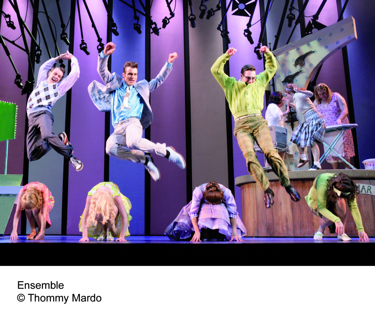 Hairspray_Bild4_2010