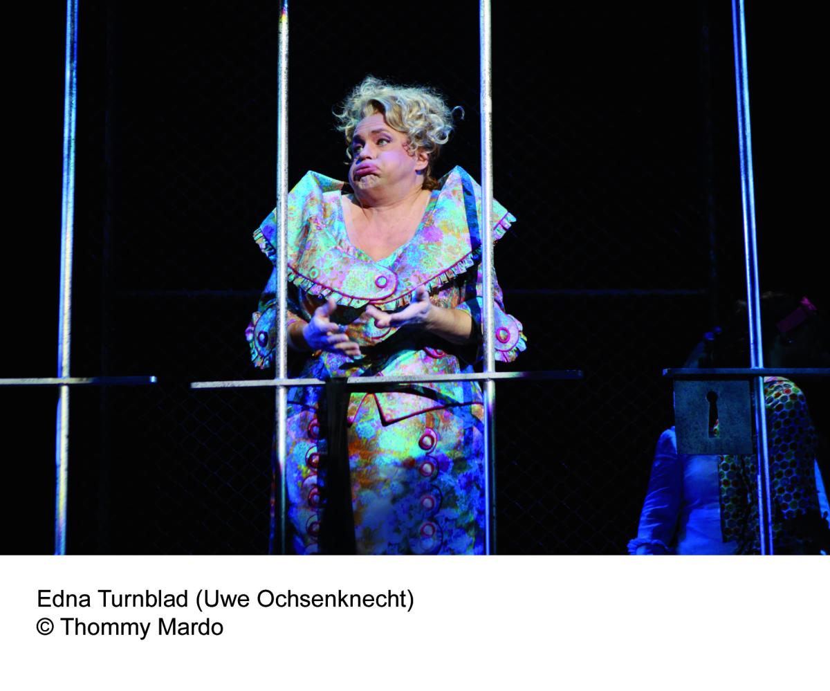 Hairspray_Bild5_2010