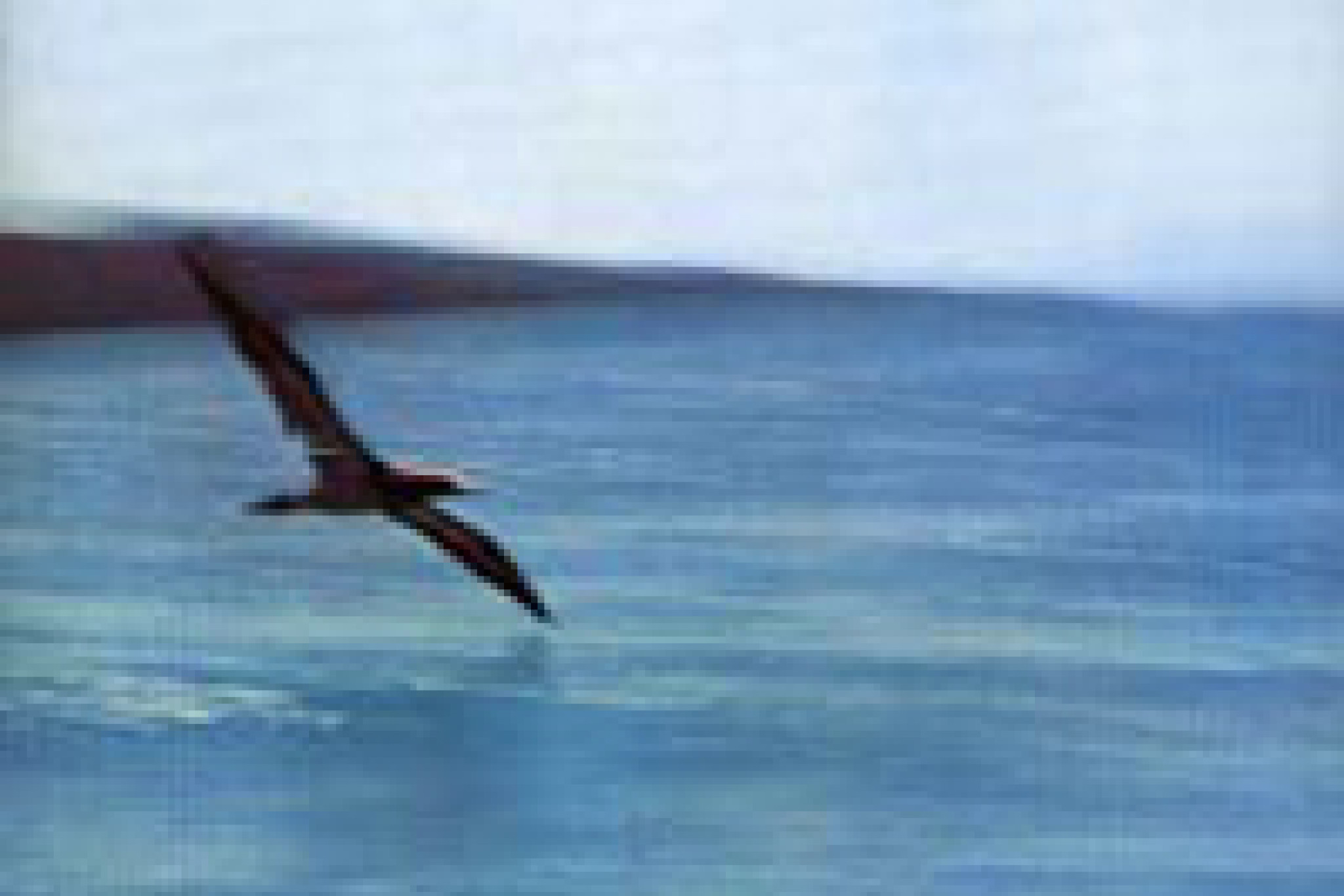 Chick Corea - Return to Forever, ECM