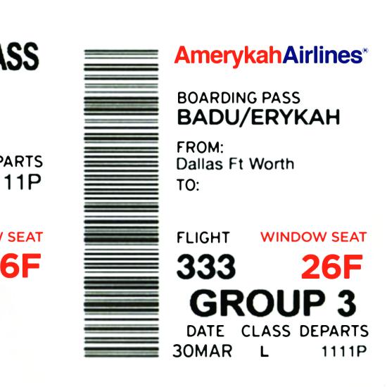 Erykah badu window seat cover 2010