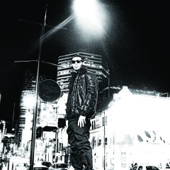 Drake Bild 02 2010