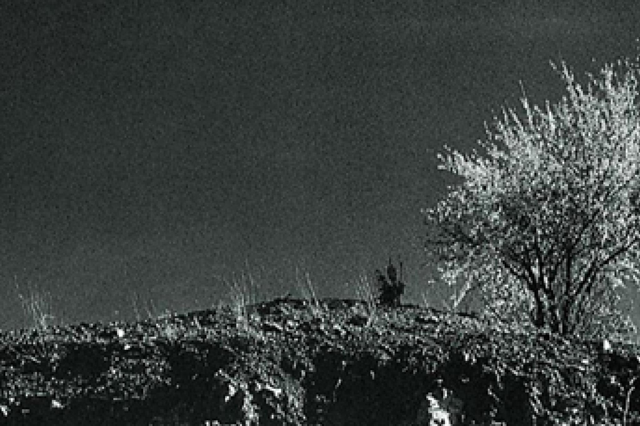 Thomas Larcher Madhares ECM