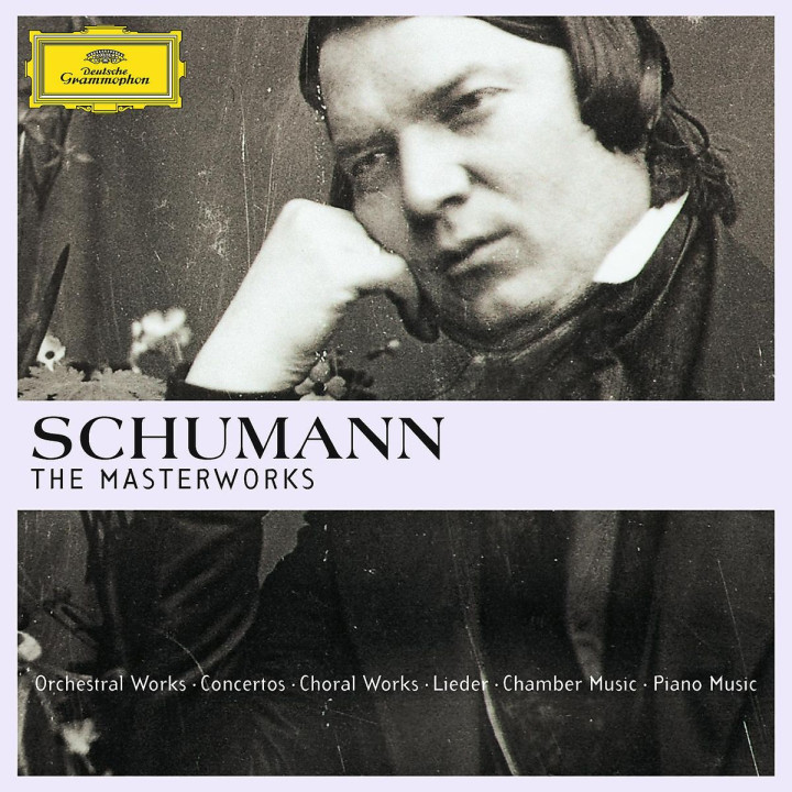 Schumann - The Masterworks (Ltd. Edit.): Various Artists