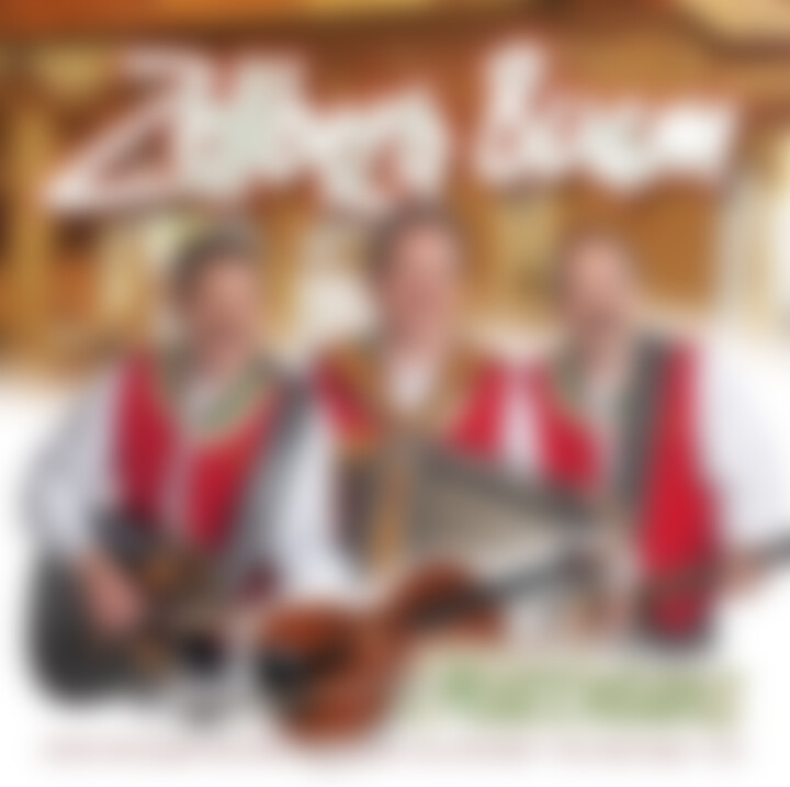 Zellberg Buam_Hüttntanz_2010