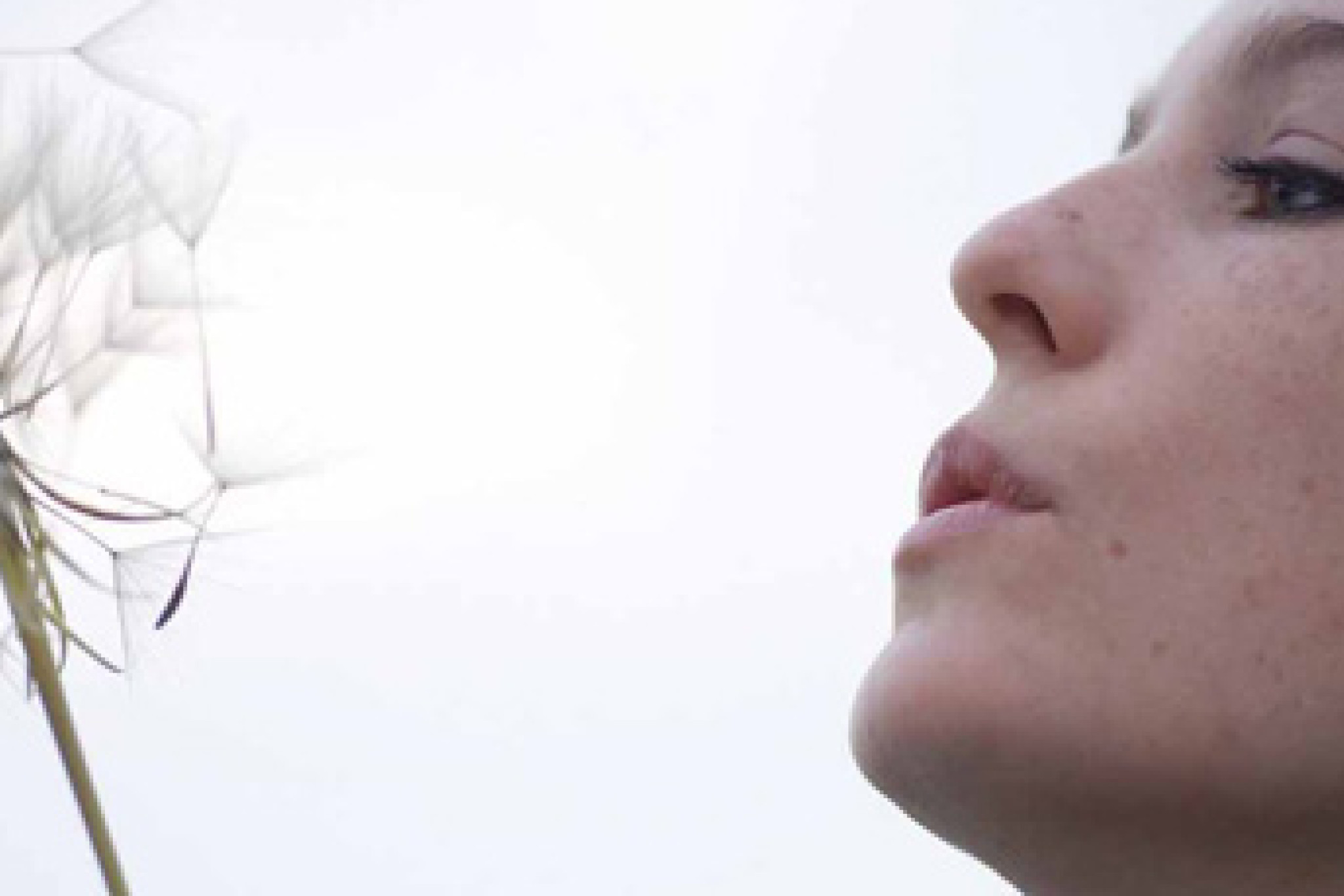 Direkt und schnörkellos