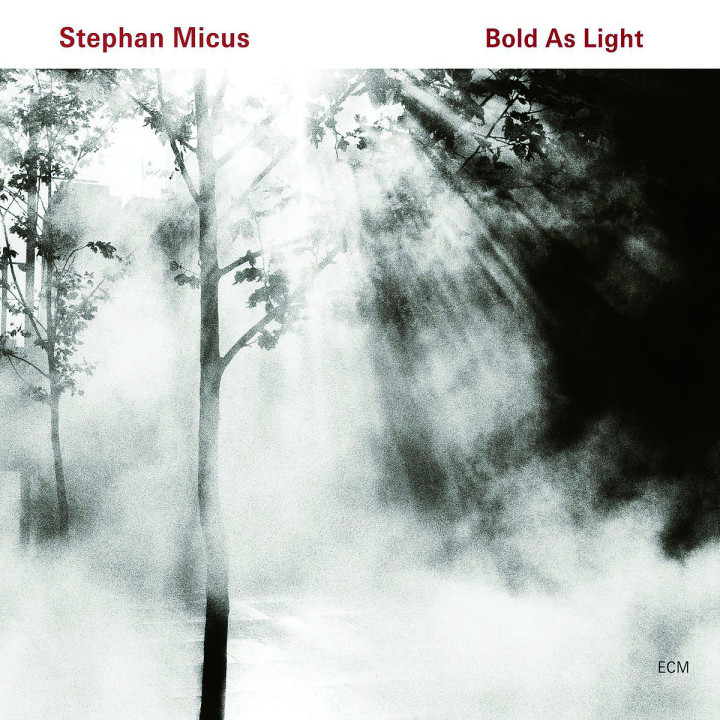 Bold As Light: Micus,Stephan