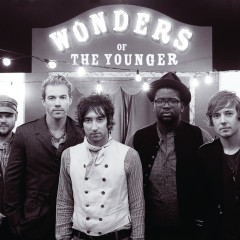 Plain White T´s 2010