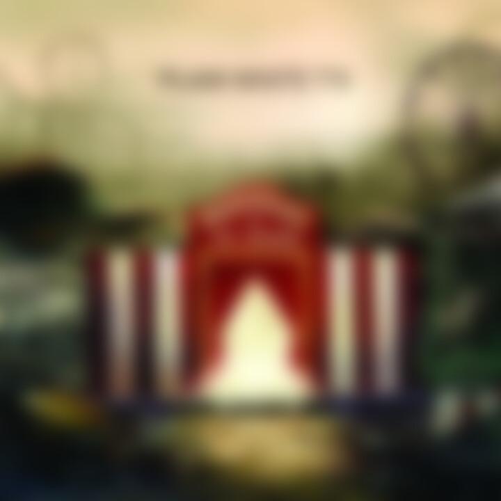 Plain White T's Albumcover - Wonders Of The Younger