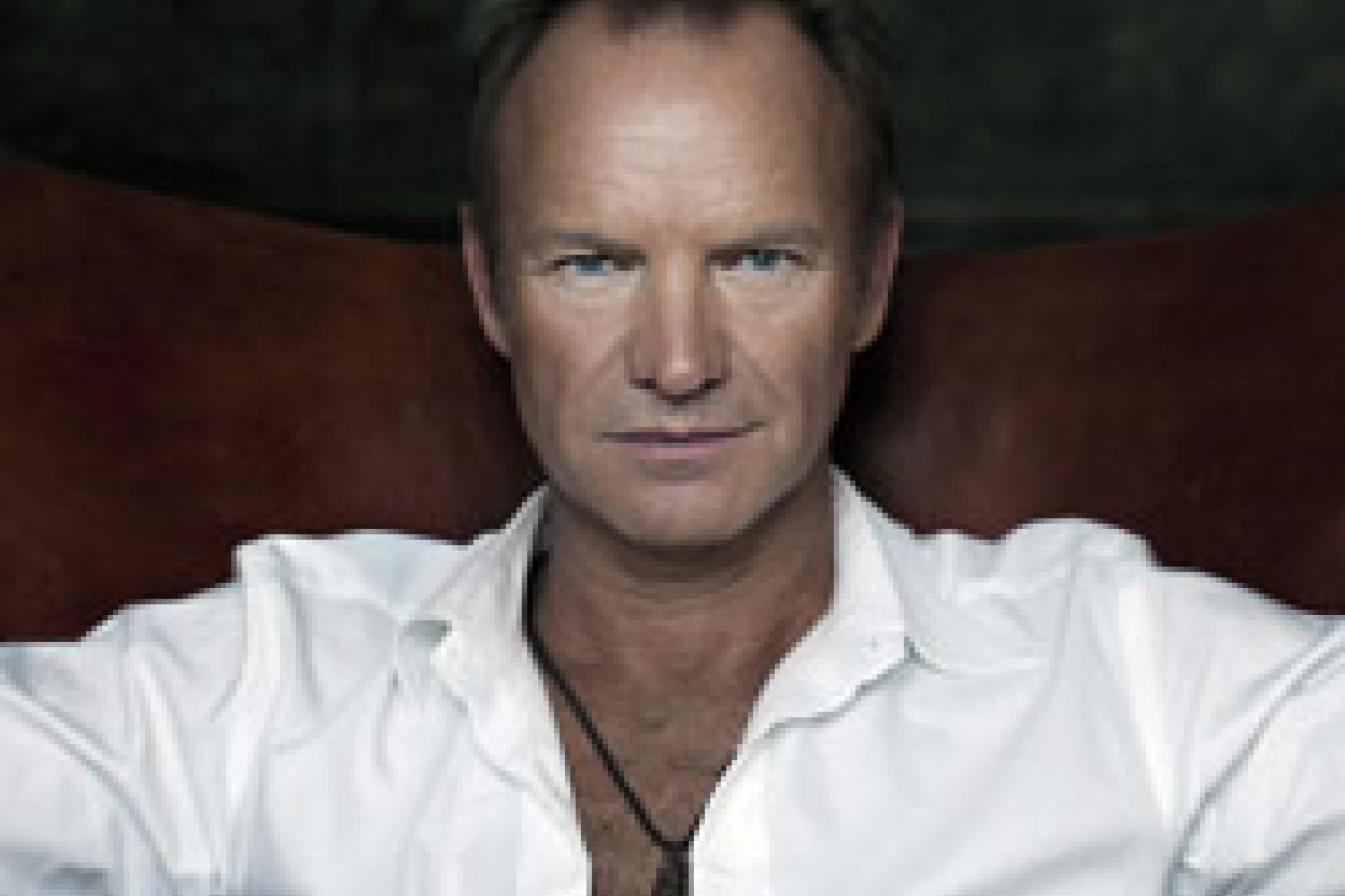 Sting © Beatrice deGea