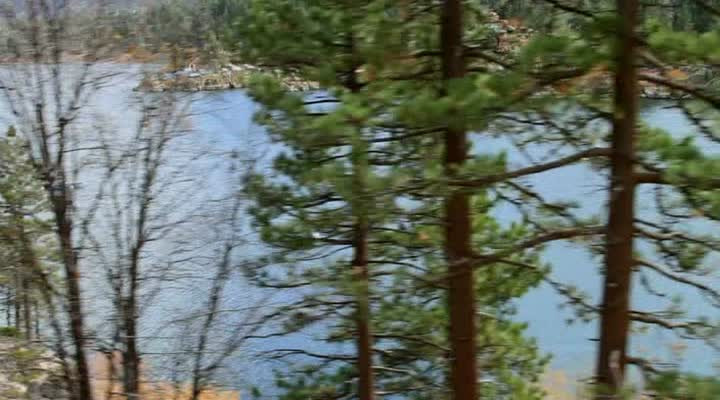 Getting Ready For Christmas Day