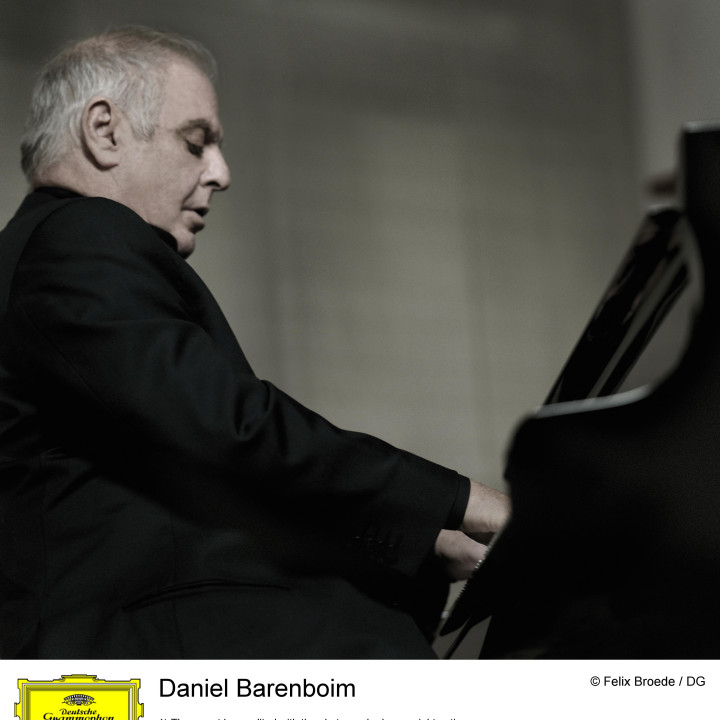 Daniel Barenboim – Galerie 2011