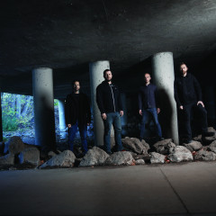 Rise Against