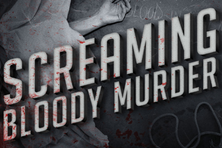 Sum 41 - Screaming Bloody Murder Vertigo