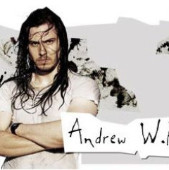 Andrew W.K.