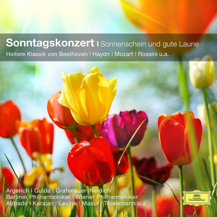Sonntagskonzert - Heitere Klassik (CC): Various
