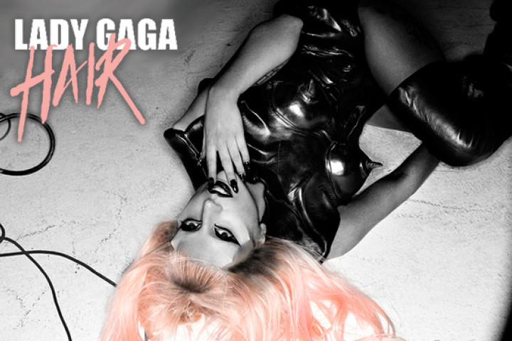 Gaga Hair Cover Web