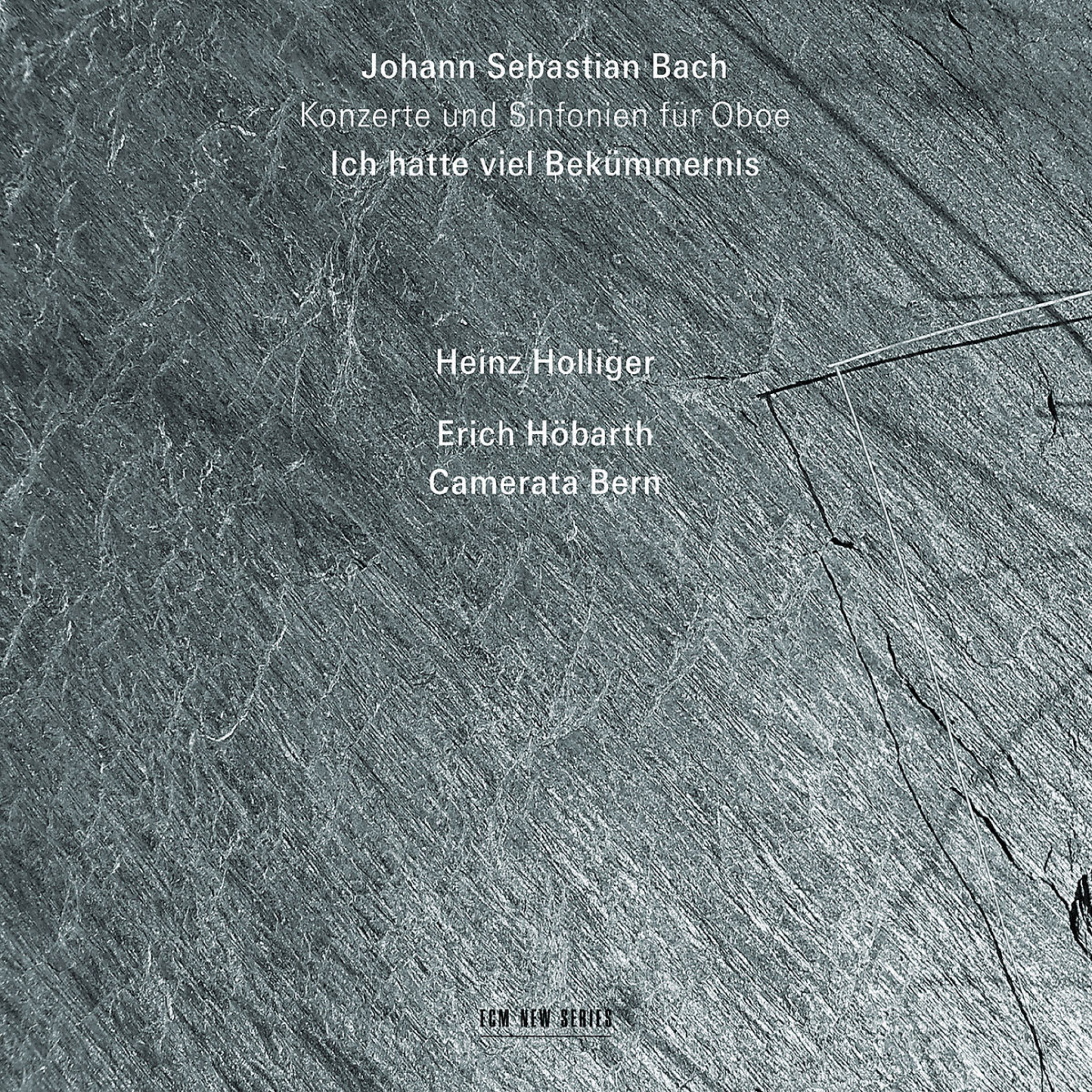 Konzerte und Sinfonien für Oboe: Holliger,Heinz/Höbarth,Erich/Camerata Bern