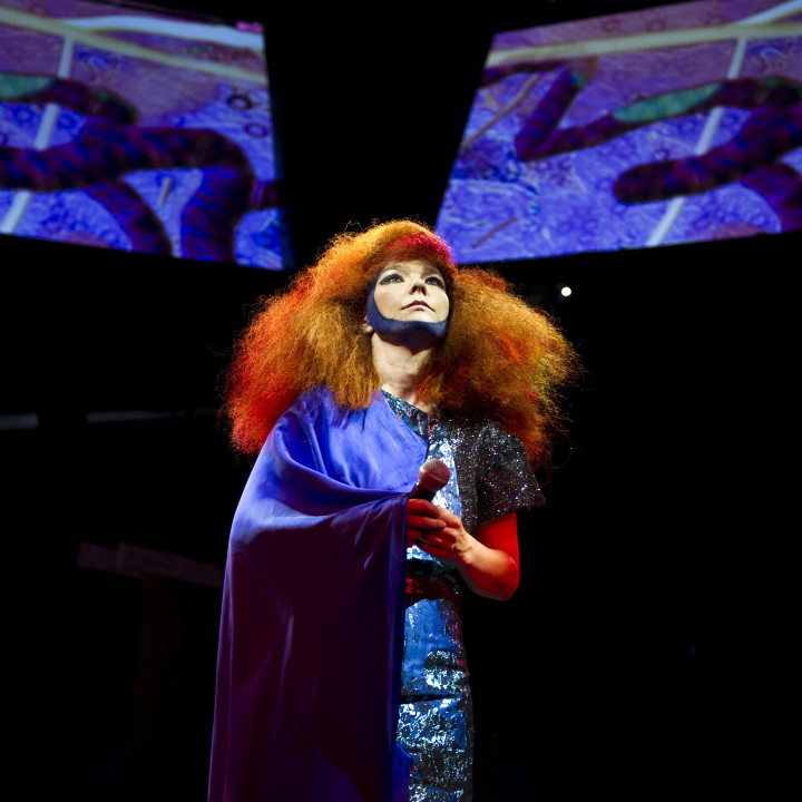Björk Pressefoto 1/2011