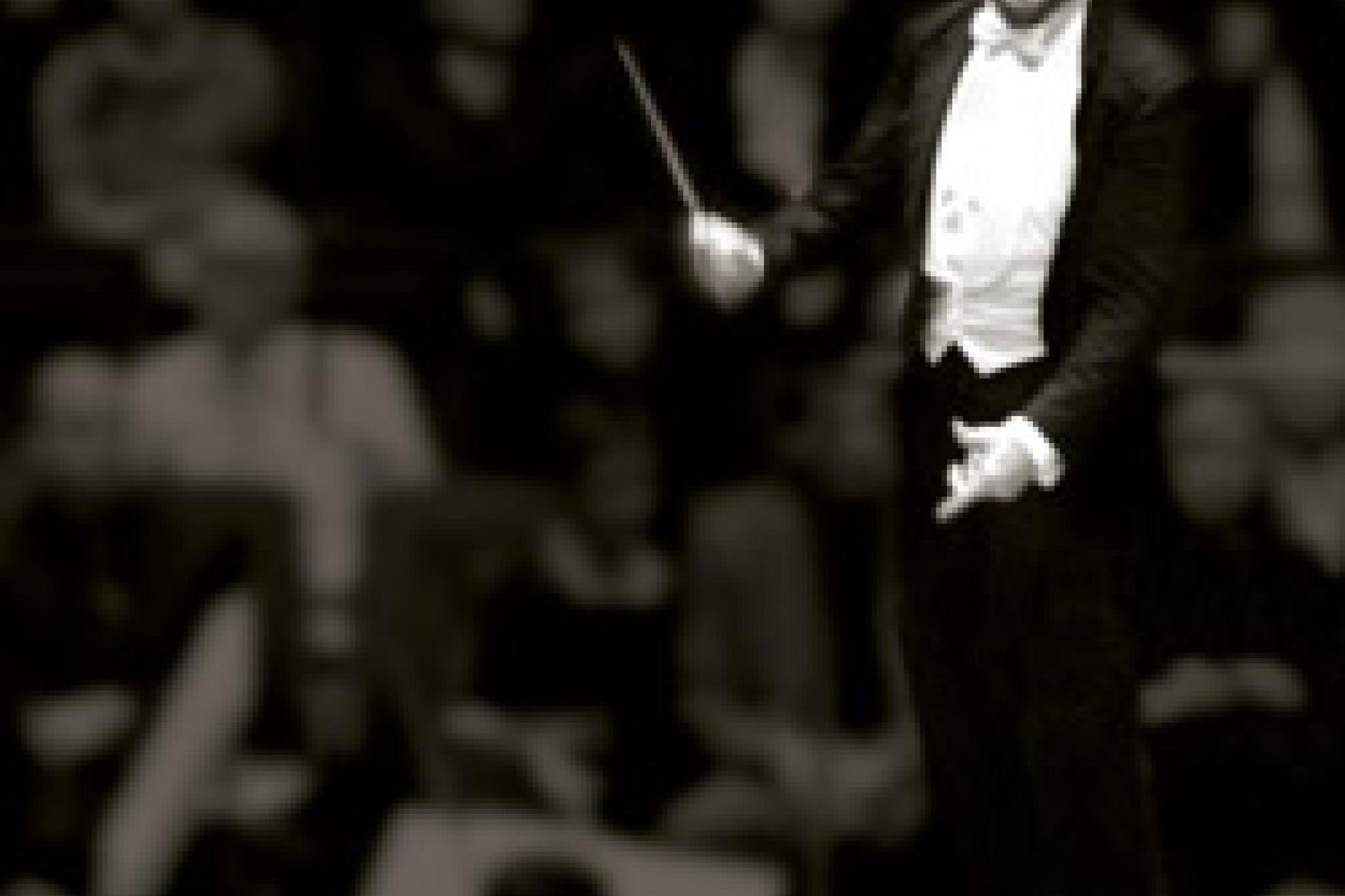 Riccardo Chailly c Decca / Ben Ealovega