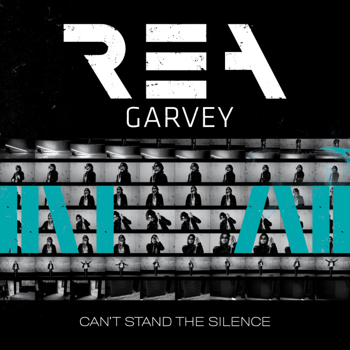 Can't Stand The Silence - Single