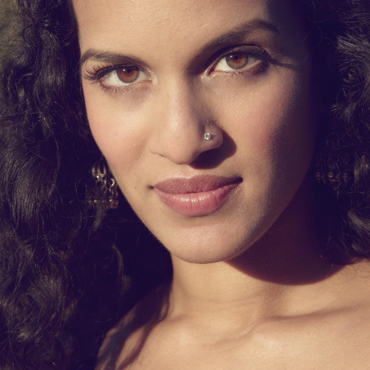 Anoushka Shankar – Traveller