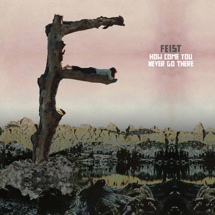 Feist: How Come You Never Go There