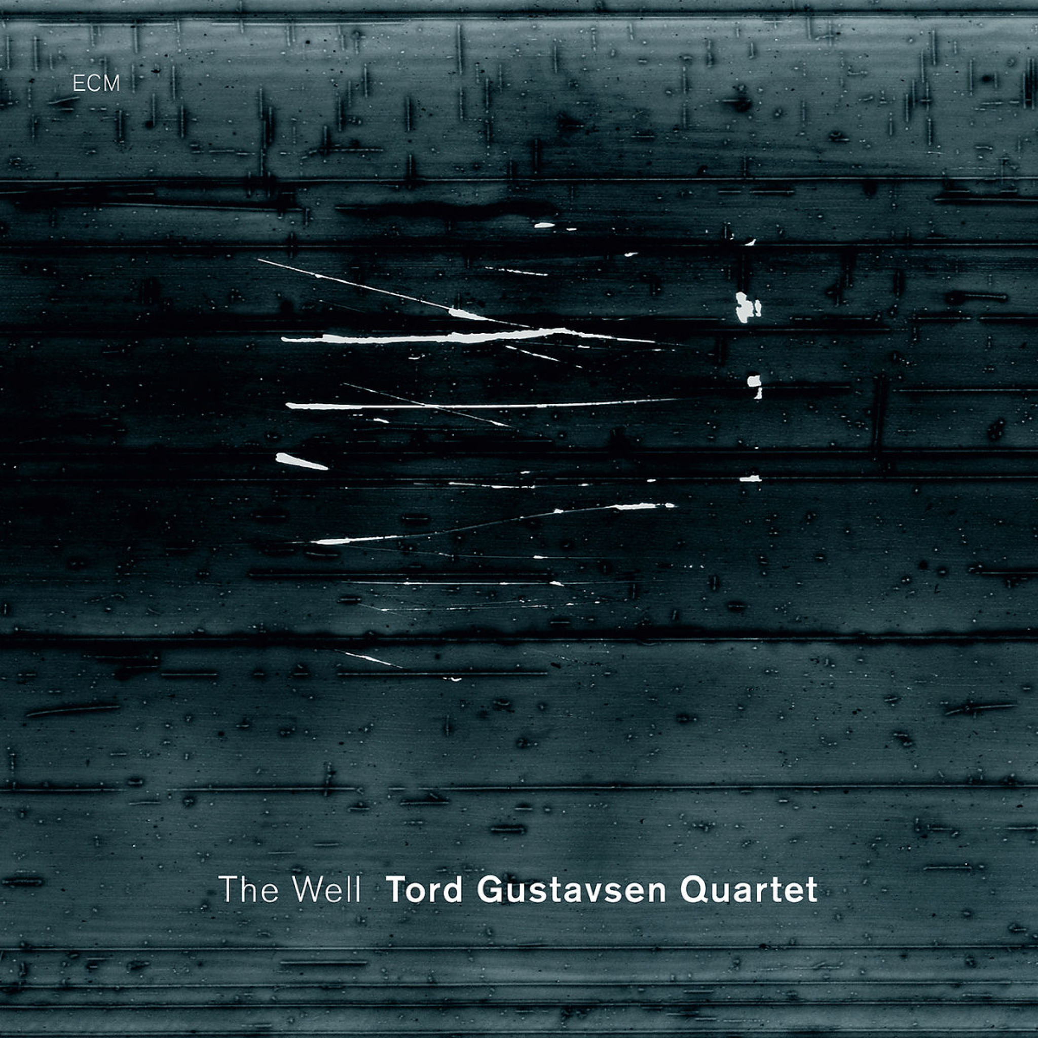 The Well: Gustavsen,Tord Quartet