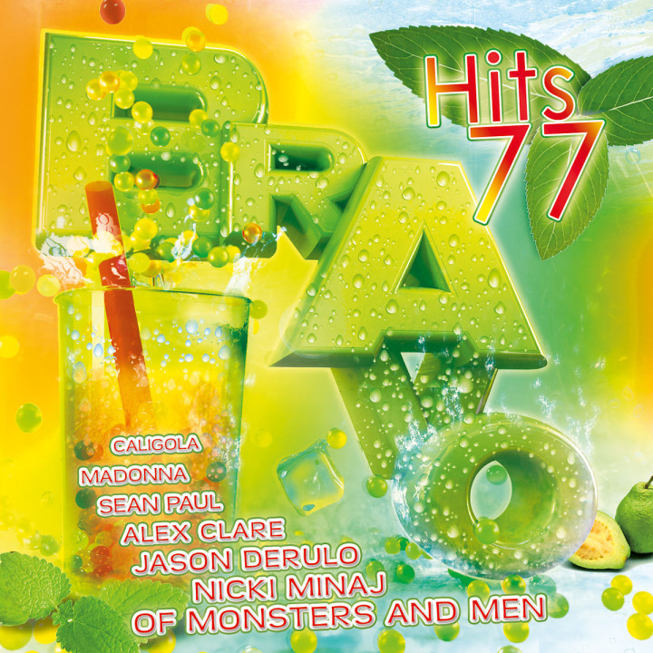 Bravo Hits Vol.77: Various Artists