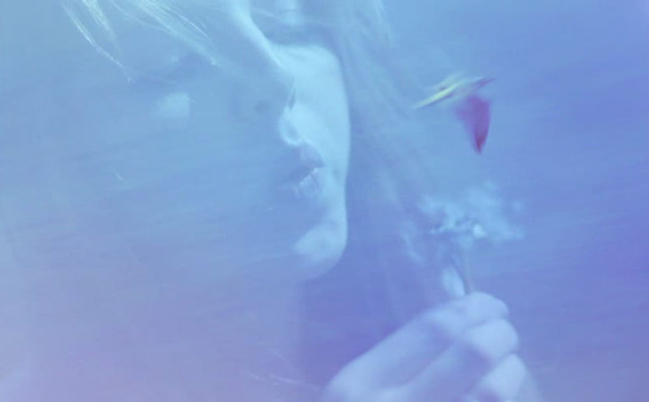 Birds (Passion Pit Remix)