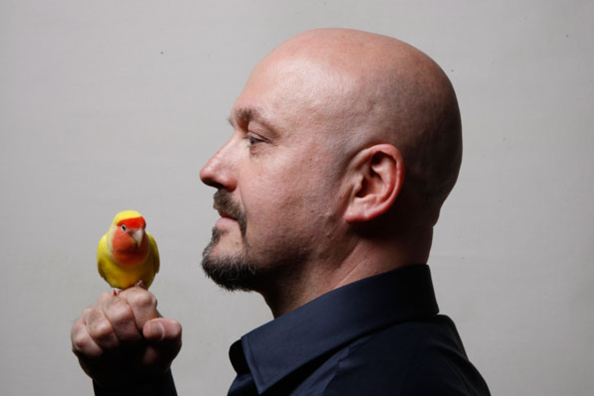 Moderner Idiomatiker zwischen Jazz, Klassik, Folk und Elektro - Bojan Z