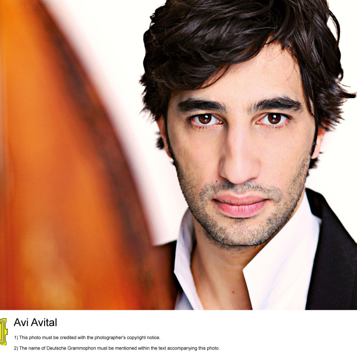 Avital−2012 1