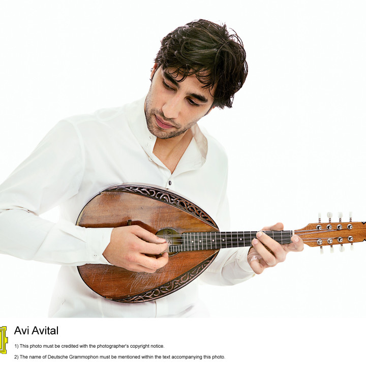 Avital−2012 2