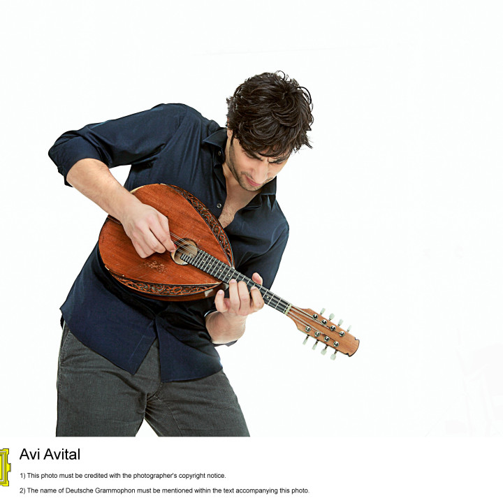 Avital−2012 4