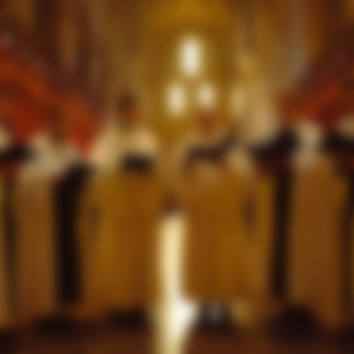 Die Zisterzienser Mönche vom Stift Heiligenkreuz
