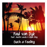 Paul van Dyk - Such A Feeling