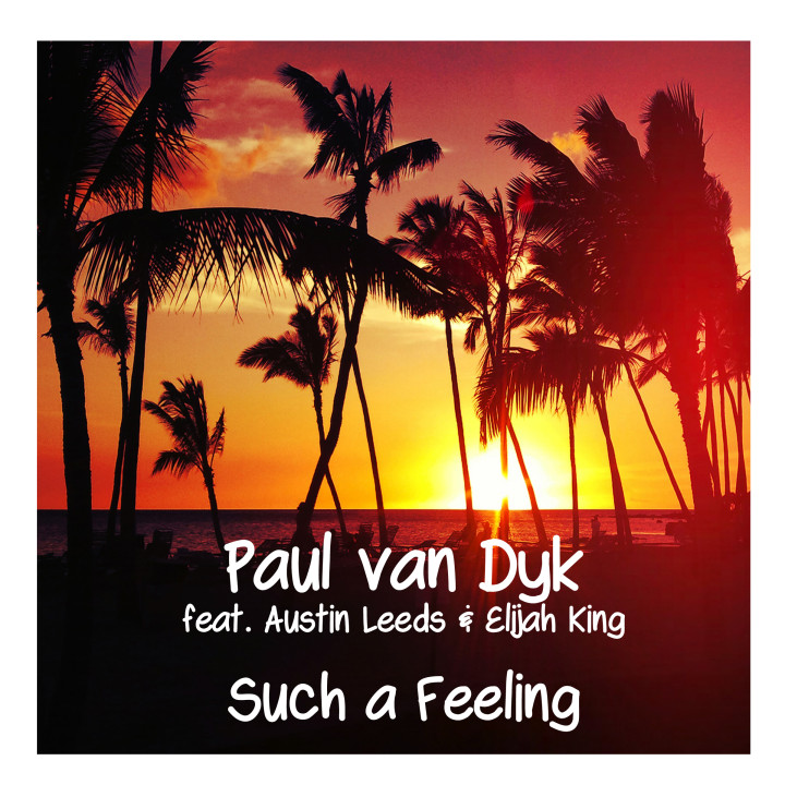 Paul van Dyk - Such A Feeling