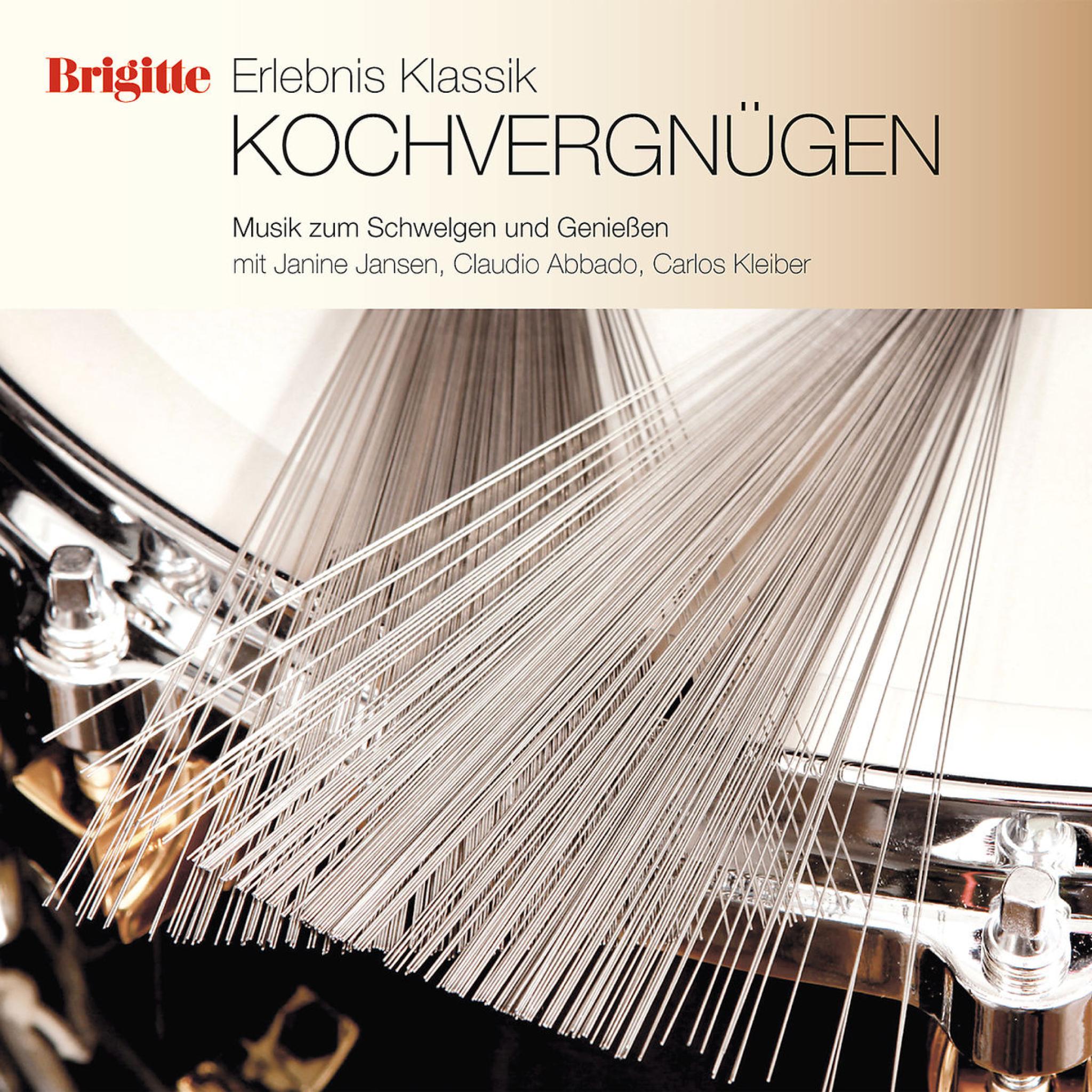 Brigitte Edition Vol. 8 Kochvergnügen