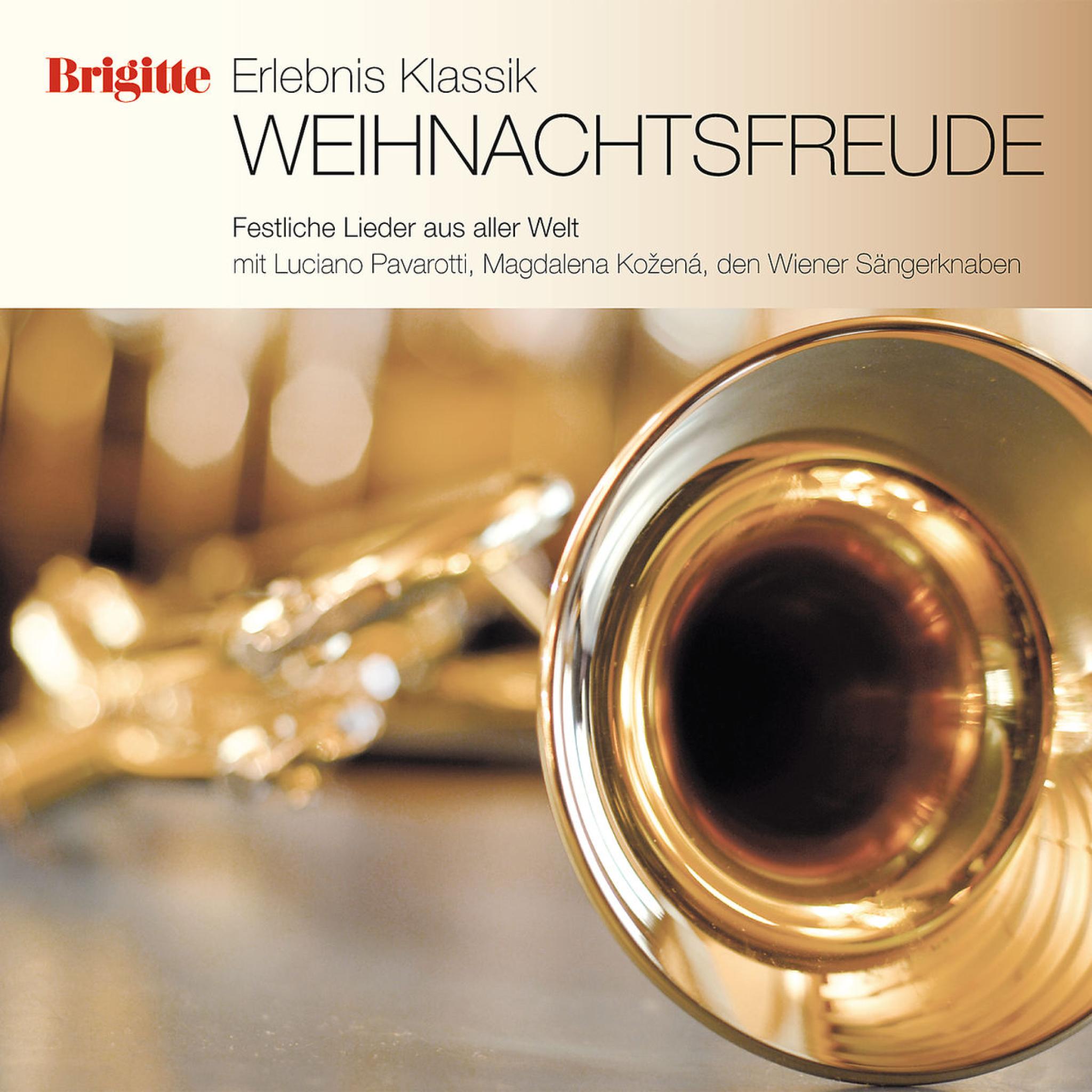 Brigitte Edition Vol. 12 Weihnachtsfreude