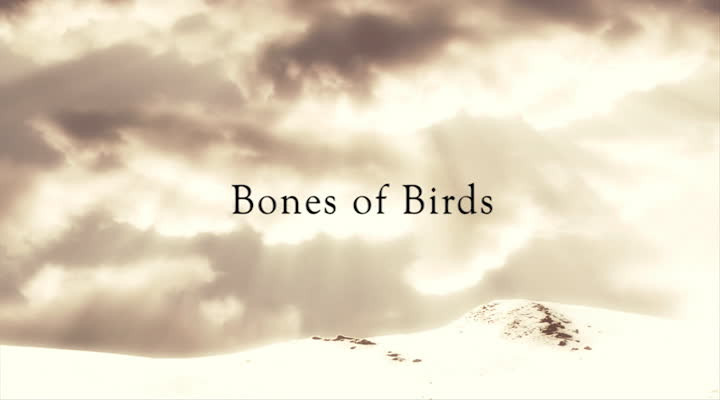 Webisode 3: Bones Of Birds