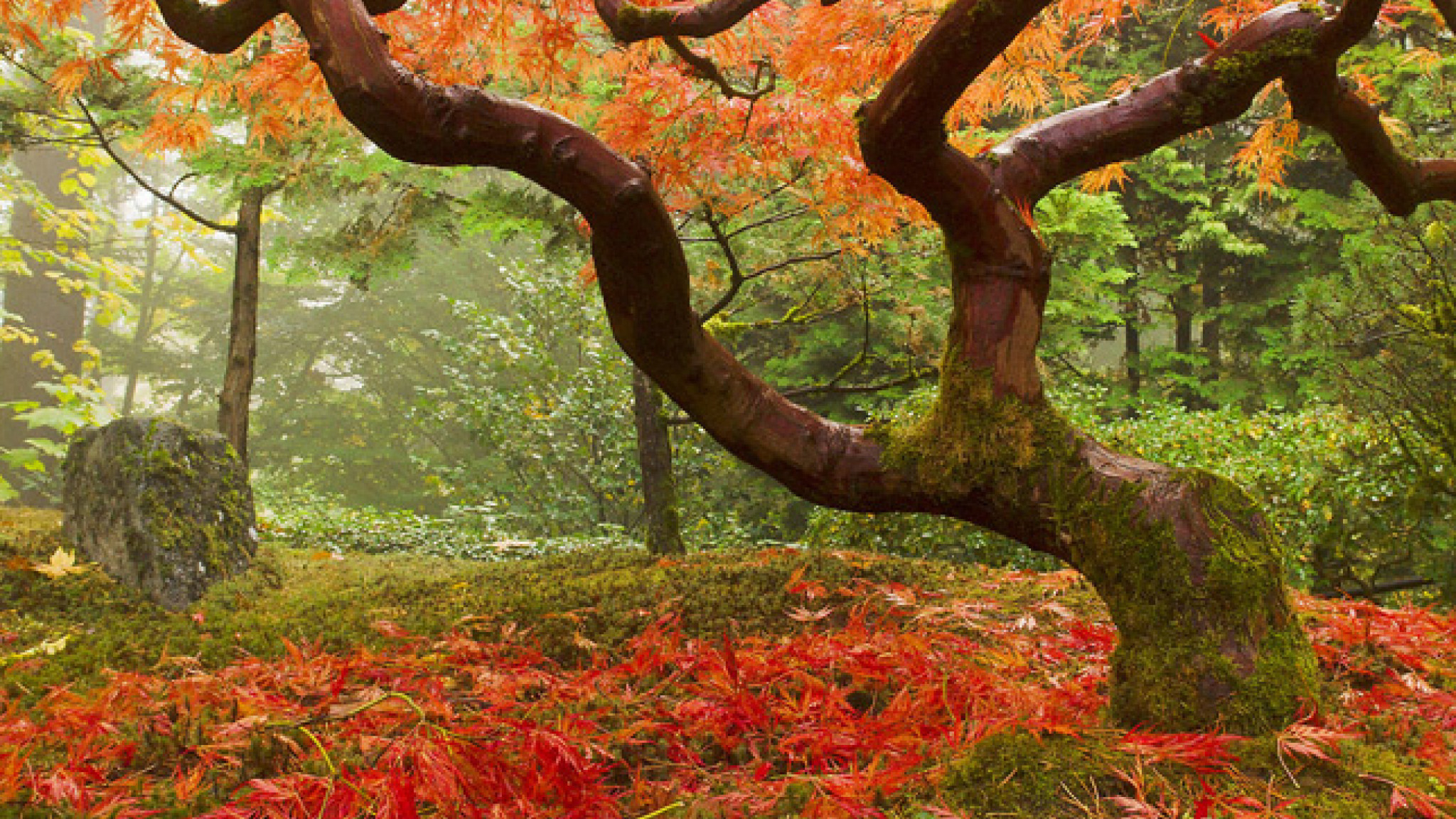 Neue Folgen der Serie Classical Choice im Herbst 2012