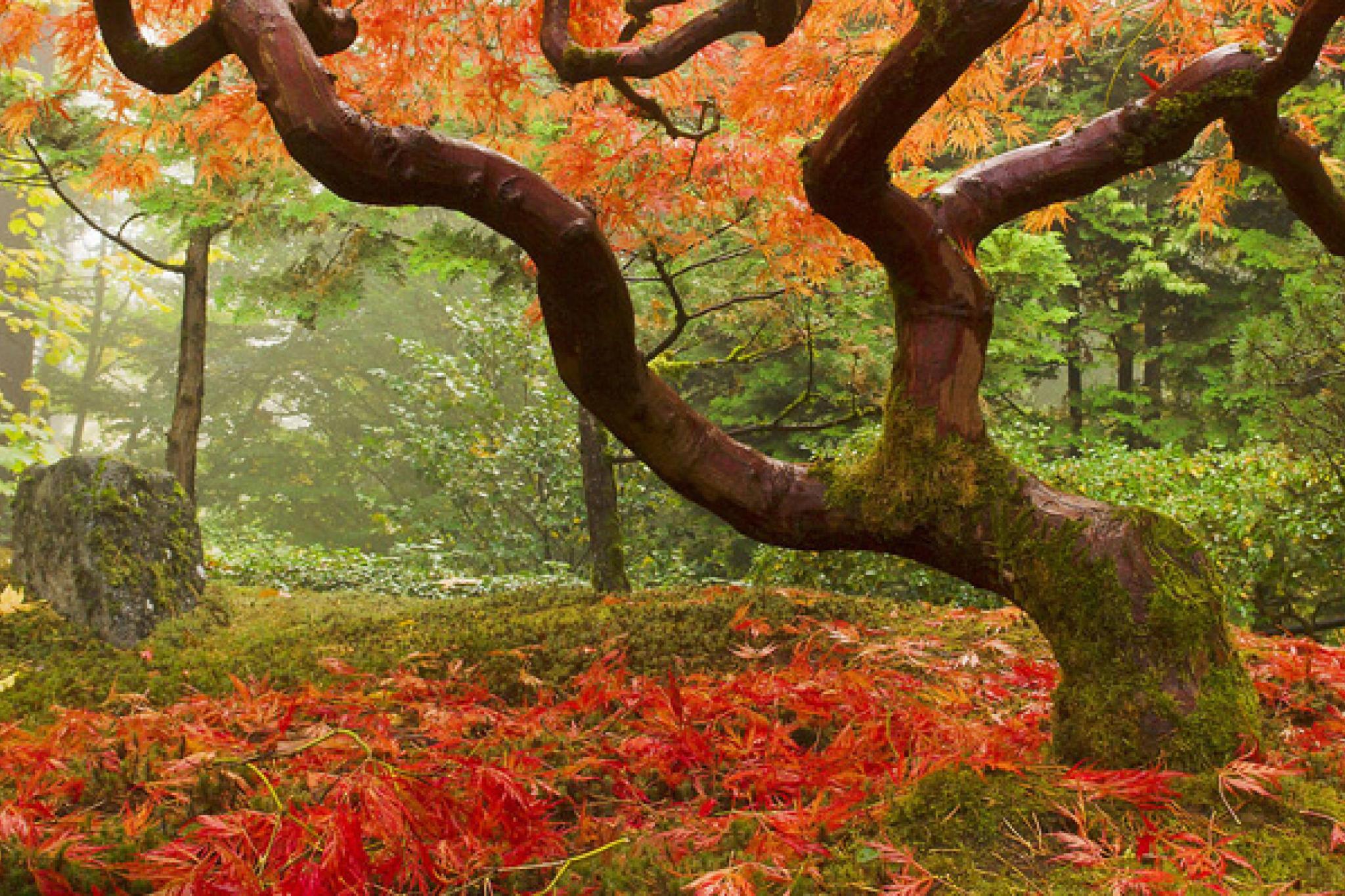 Neue Folgen der Serie Classical Choice im Herbst 2012