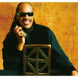 Stevie Wonder