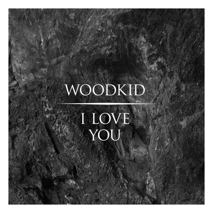 Woodkid - I Love You (Cover)