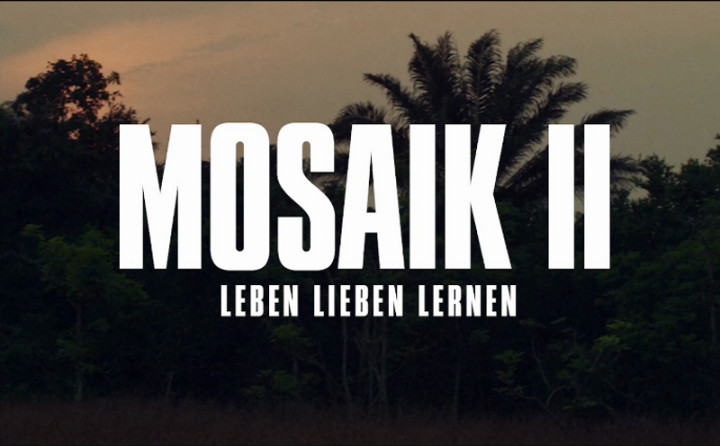 Mosaik II (Leben Lieben Lernen)