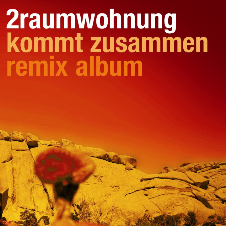 2raumwohnung kommt zusammen remix album