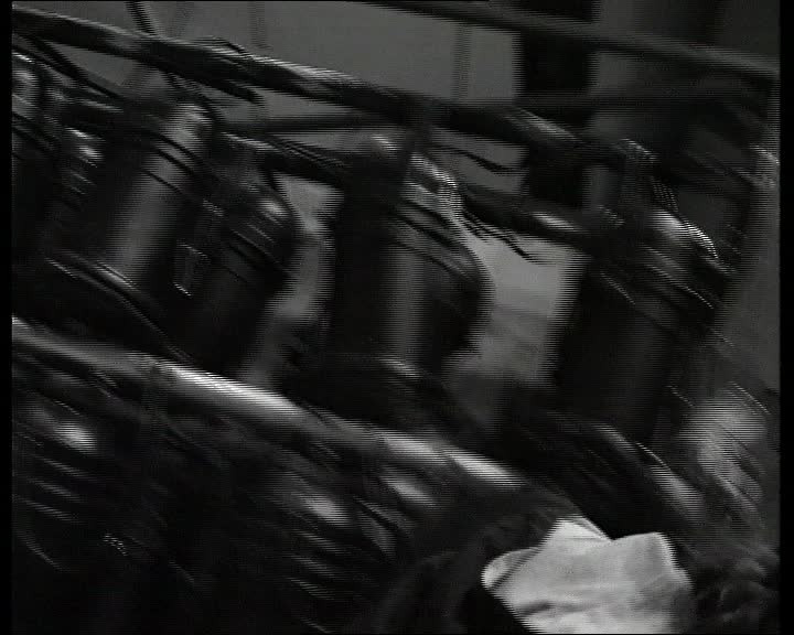 Born In A Morning Hall